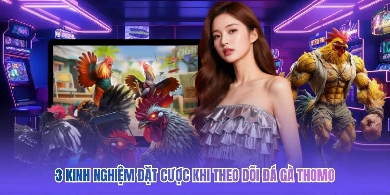 3 kinh nghiệm đặt cược khi theo d&otilde;i đ&aacute; g&agrave; Thomo