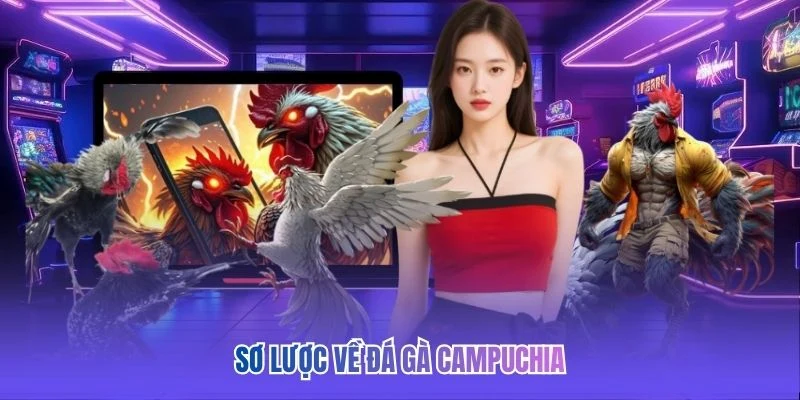 Sơ lược về đ&aacute; g&agrave; Campuchia