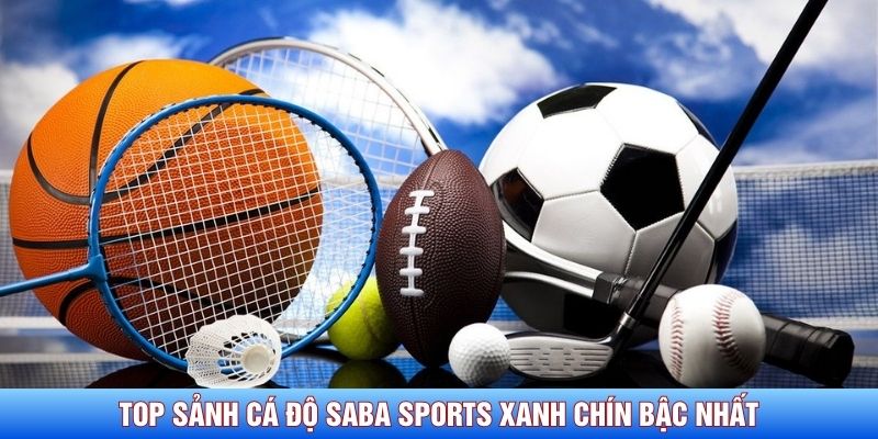 Top sảnh cá độ Saba Sports xanh chín bậc nhất Top sảnh cá độ Saba Sports xanh chín bậc nhất