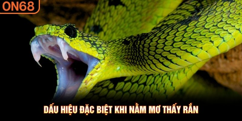 Dấu hiệu đặc biệt khi nằm mơ thấy rắn