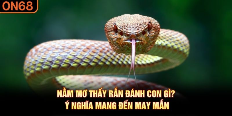 nằm mơ thấy rắn đánh con gì